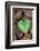 Heart-shaped leaf of Alpine Cyclamen, Croatia-Alex Hyde-Framed Photographic Print