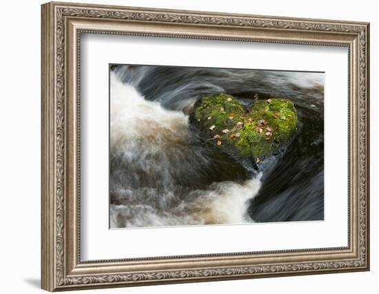 Heart-shaped mossy rock in fast flowing river, Ayrshire-Niall Benvie-Framed Photographic Print