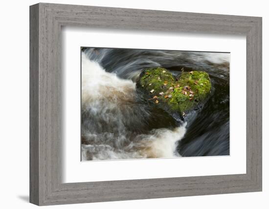 Heart-shaped mossy rock in fast flowing river, Ayrshire-Niall Benvie-Framed Photographic Print