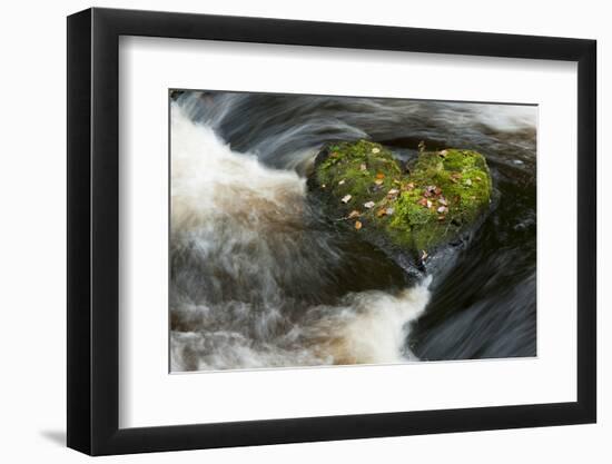 Heart-shaped mossy rock in fast flowing river, Ayrshire-Niall Benvie-Framed Photographic Print