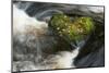 Heart-shaped mossy rock in fast flowing river, Ayrshire-Niall Benvie-Mounted Photographic Print