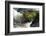 Heart-shaped mossy rock in fast flowing river, Ayrshire-Niall Benvie-Framed Photographic Print