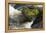 Heart-shaped mossy rock in fast flowing river, Ayrshire-Niall Benvie-Framed Premier Image Canvas