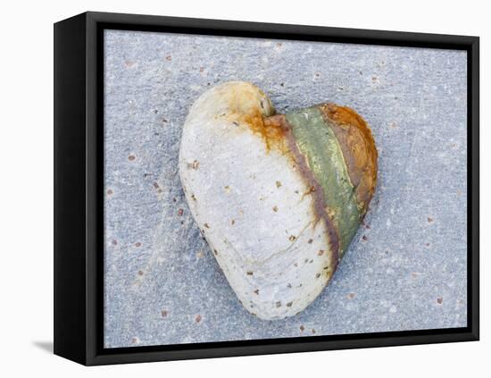 Heart-Shaped Pebble, Scotland, UK-Niall Benvie-Framed Premier Image Canvas
