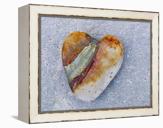 Heart-Shaped Pebble, Scotland, UK-Niall Benvie-Framed Premier Image Canvas