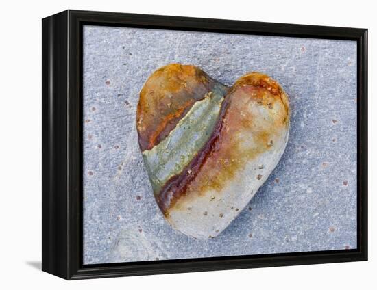 Heart-Shaped Pebble, Scotland, UK-Niall Benvie-Framed Premier Image Canvas