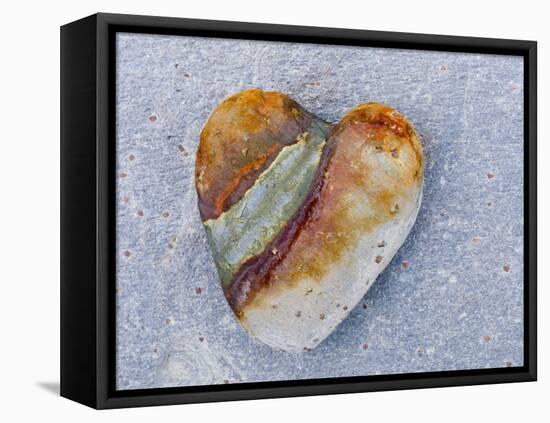 Heart-Shaped Pebble, Scotland, UK-Niall Benvie-Framed Premier Image Canvas