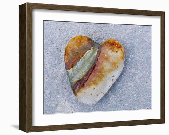 Heart-Shaped Pebble, Scotland, UK-Niall Benvie-Framed Photographic Print