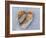 Heart-Shaped Pebble, Scotland, UK-Niall Benvie-Framed Photographic Print