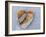 Heart-Shaped Pebble, Scotland, UK-Niall Benvie-Framed Photographic Print