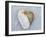 Heart-Shaped Pebble, Scotland, UK-Niall Benvie-Framed Photographic Print