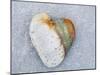 Heart-Shaped Pebble, Scotland, UK-Niall Benvie-Mounted Photographic Print