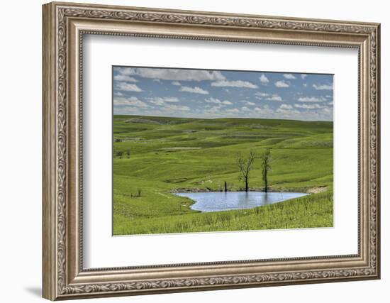 heart shaped pond in the Flint Hills of Kansas-Michael Scheufler-Framed Photographic Print