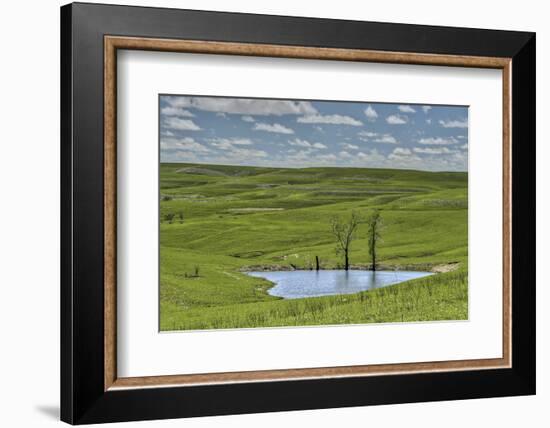 heart shaped pond in the Flint Hills of Kansas-Michael Scheufler-Framed Photographic Print