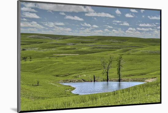 heart shaped pond in the Flint Hills of Kansas-Michael Scheufler-Mounted Photographic Print