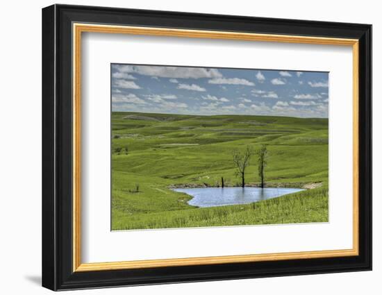 heart shaped pond in the Flint Hills of Kansas-Michael Scheufler-Framed Photographic Print