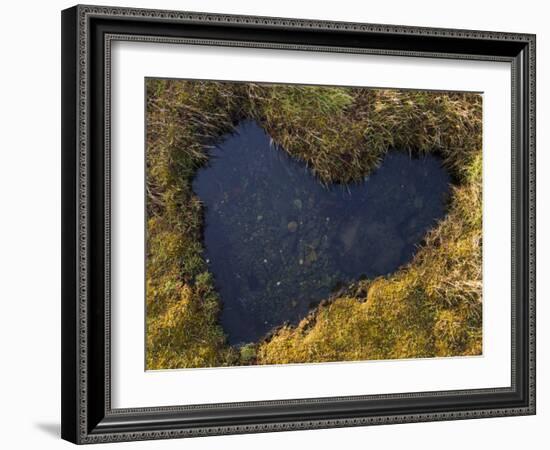 Heart-Shaped Pool on Saltmarsh, Argyll, Scotland, UK, November 2007-Niall Benvie-Framed Photographic Print