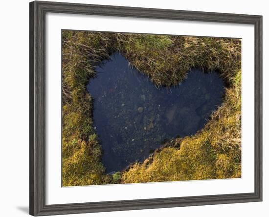 Heart-Shaped Pool on Saltmarsh, Argyll, Scotland, UK, November 2007-Niall Benvie-Framed Photographic Print