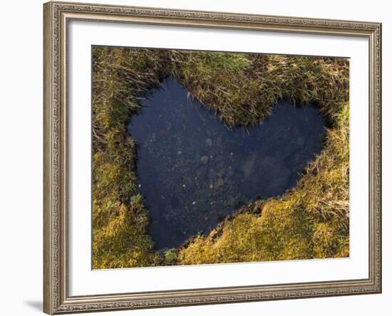 Heart-Shaped Pool on Saltmarsh, Argyll, Scotland, UK, November 2007-Niall Benvie-Framed Photographic Print