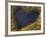 Heart-Shaped Pool on Saltmarsh, Argyll, Scotland, UK, November 2007-Niall Benvie-Framed Photographic Print