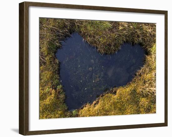 Heart-Shaped Pool on Saltmarsh, Argyll, Scotland, UK, November 2007-Niall Benvie-Framed Photographic Print