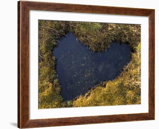 Heart-Shaped Pool on Saltmarsh, Argyll, Scotland, UK, November 2007-Niall Benvie-Framed Photographic Print