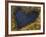 Heart-Shaped Pool on Saltmarsh, Argyll, Scotland, UK, November 2007-Niall Benvie-Framed Photographic Print