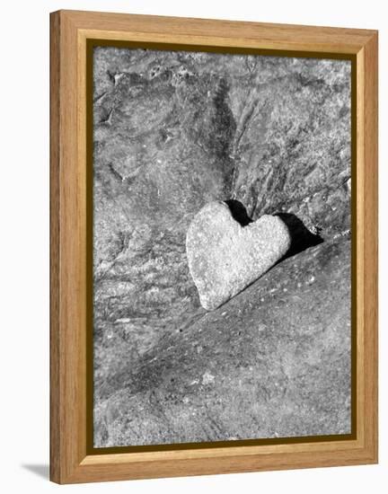 Heart Shaped Rock, Sradled in Larger Rock-Janell Davidson-Framed Premier Image Canvas