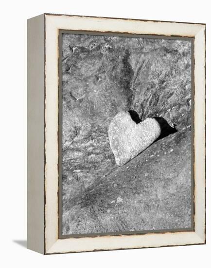 Heart Shaped Rock, Sradled in Larger Rock-Janell Davidson-Framed Premier Image Canvas