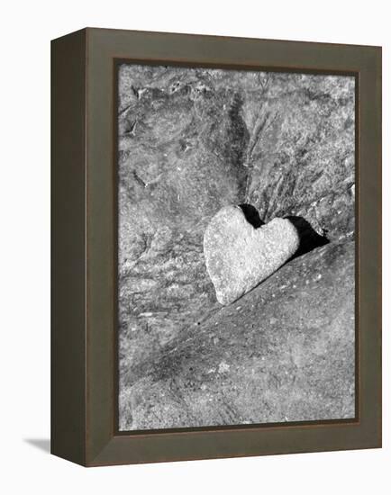 Heart Shaped Rock, Sradled in Larger Rock-Janell Davidson-Framed Premier Image Canvas