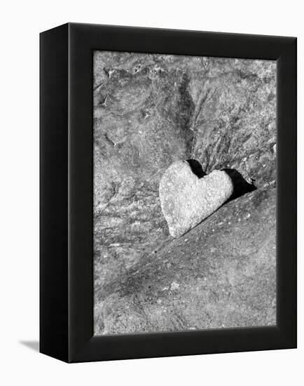 Heart Shaped Rock, Sradled in Larger Rock-Janell Davidson-Framed Premier Image Canvas