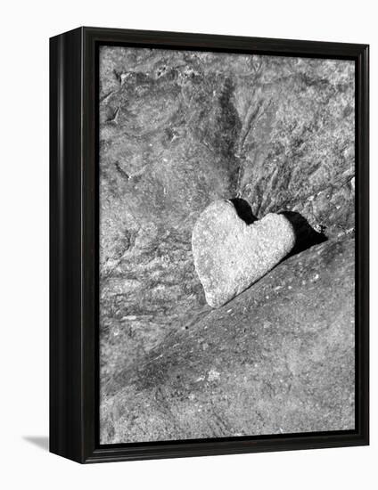 Heart Shaped Rock, Sradled in Larger Rock-Janell Davidson-Framed Premier Image Canvas