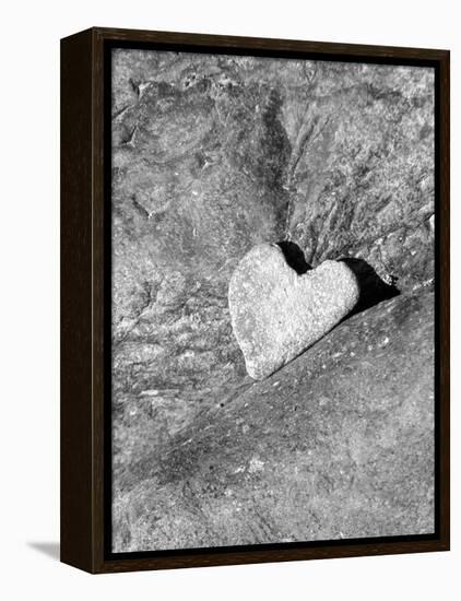 Heart Shaped Rock, Sradled in Larger Rock-Janell Davidson-Framed Premier Image Canvas