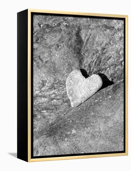 Heart Shaped Rock, Sradled in Larger Rock-Janell Davidson-Framed Premier Image Canvas