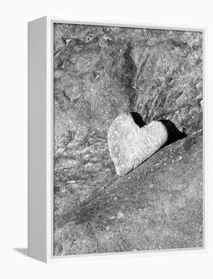 Heart Shaped Rock, Sradled in Larger Rock-Janell Davidson-Framed Premier Image Canvas