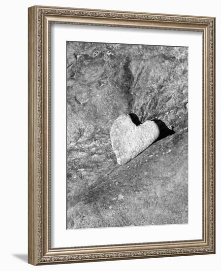 Heart Shaped Rock, Sradled in Larger Rock-Janell Davidson-Framed Photographic Print