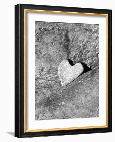 Heart Shaped Rock, Sradled in Larger Rock-Janell Davidson-Framed Photographic Print