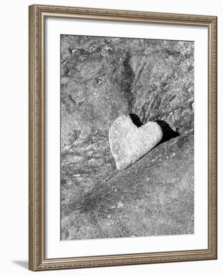 Heart Shaped Rock, Sradled in Larger Rock-Janell Davidson-Framed Photographic Print