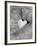 Heart Shaped Rock, Sradled in Larger Rock-Janell Davidson-Framed Photographic Print