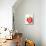 Heart Shaped Strawberry Half-Paul Williams-Mounted Photographic Print displayed on a wall