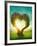 Heart Shaped Tree in the Meadow-egal-Framed Premium Photographic Print