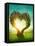 Heart Shaped Tree in the Meadow-egal-Framed Premier Image Canvas