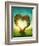 Heart Shaped Tree in the Meadow-egal-Framed Photographic Print