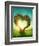 Heart Shaped Tree in the Meadow-egal-Framed Photographic Print