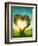 Heart Shaped Tree in the Meadow-egal-Framed Photographic Print