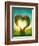 Heart Shaped Tree in the Meadow-egal-Framed Photographic Print