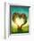 Heart Shaped Tree in the Meadow-egal-Framed Photographic Print