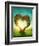 Heart Shaped Tree in the Meadow-egal-Framed Photographic Print