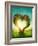 Heart Shaped Tree in the Meadow-egal-Framed Photographic Print