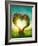 Heart Shaped Tree in the Meadow-egal-Framed Photographic Print